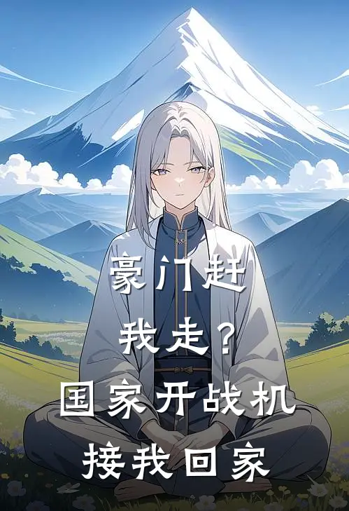 豪门赶我走？国家开战机接我回家(苏铮苏晚)最新小说_免费阅读完整版小说豪门赶我走？国家开战机接我回家(苏铮苏晚)